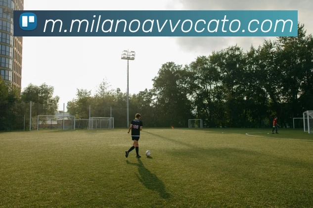平台展示图